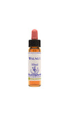 Bach Bloesem Walnut 10ml